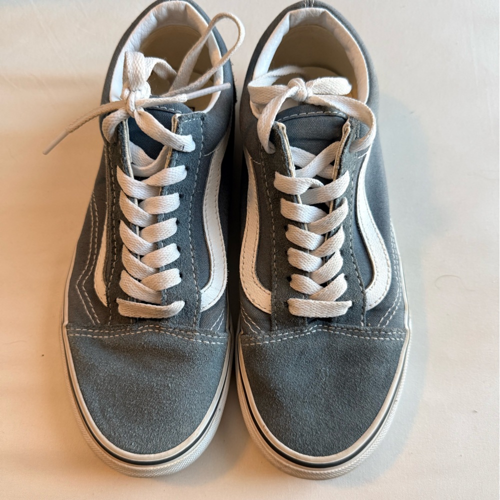 Vans Classic Skate Shoes